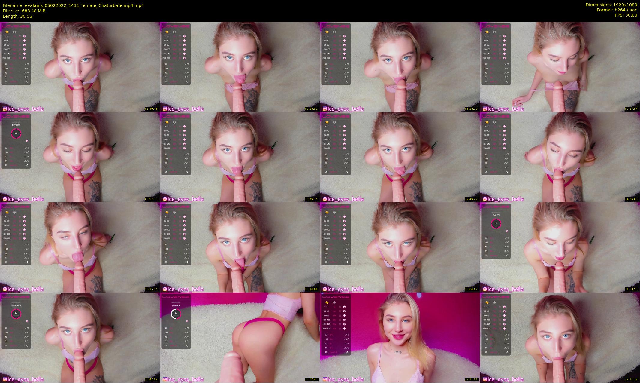 evalanis — 31 minute Chaturbate couple cam show recording, 1080p, Feb 5, 2022