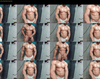 advp69 — 14 minute Chaturbate male cam show recording, 360p, Feb 8, 2022