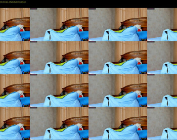 diane_nee — 4 minute Chaturbate female cam show recording, 1080p, Feb 7, 2022