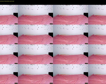 kimisun — 3 minute Chaturbate female cam show recording, 720p, Feb 7, 2022