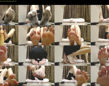 black_alex_ — 38 minute Chaturbate couple cam show recording, 720p, Feb 8, 2022
