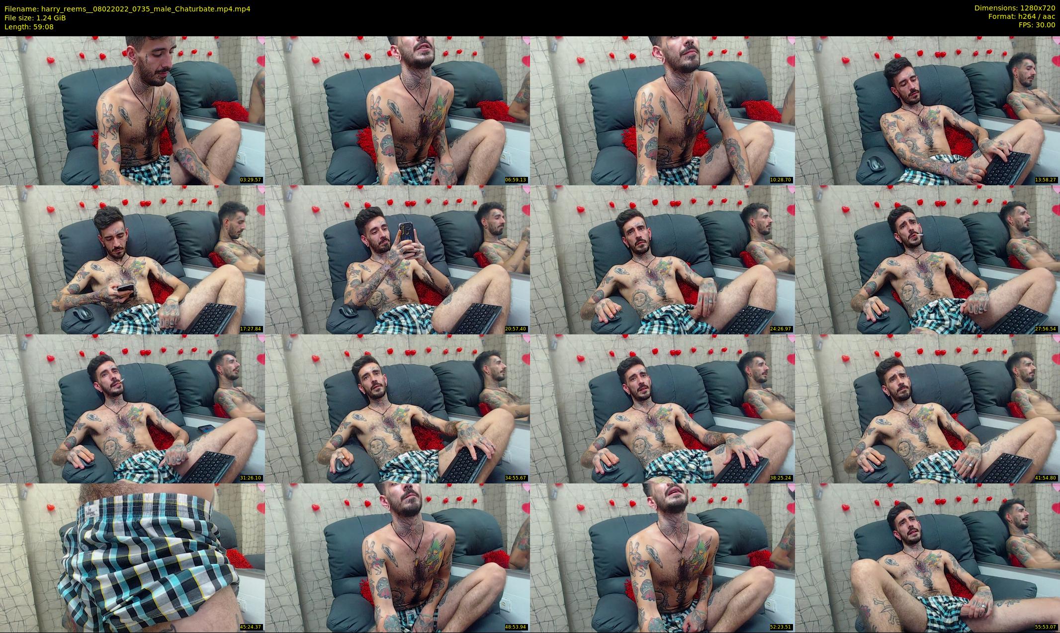 harry_reems_ — 60 minute Chaturbate male cam show recording, 720p, Feb 8, 2022