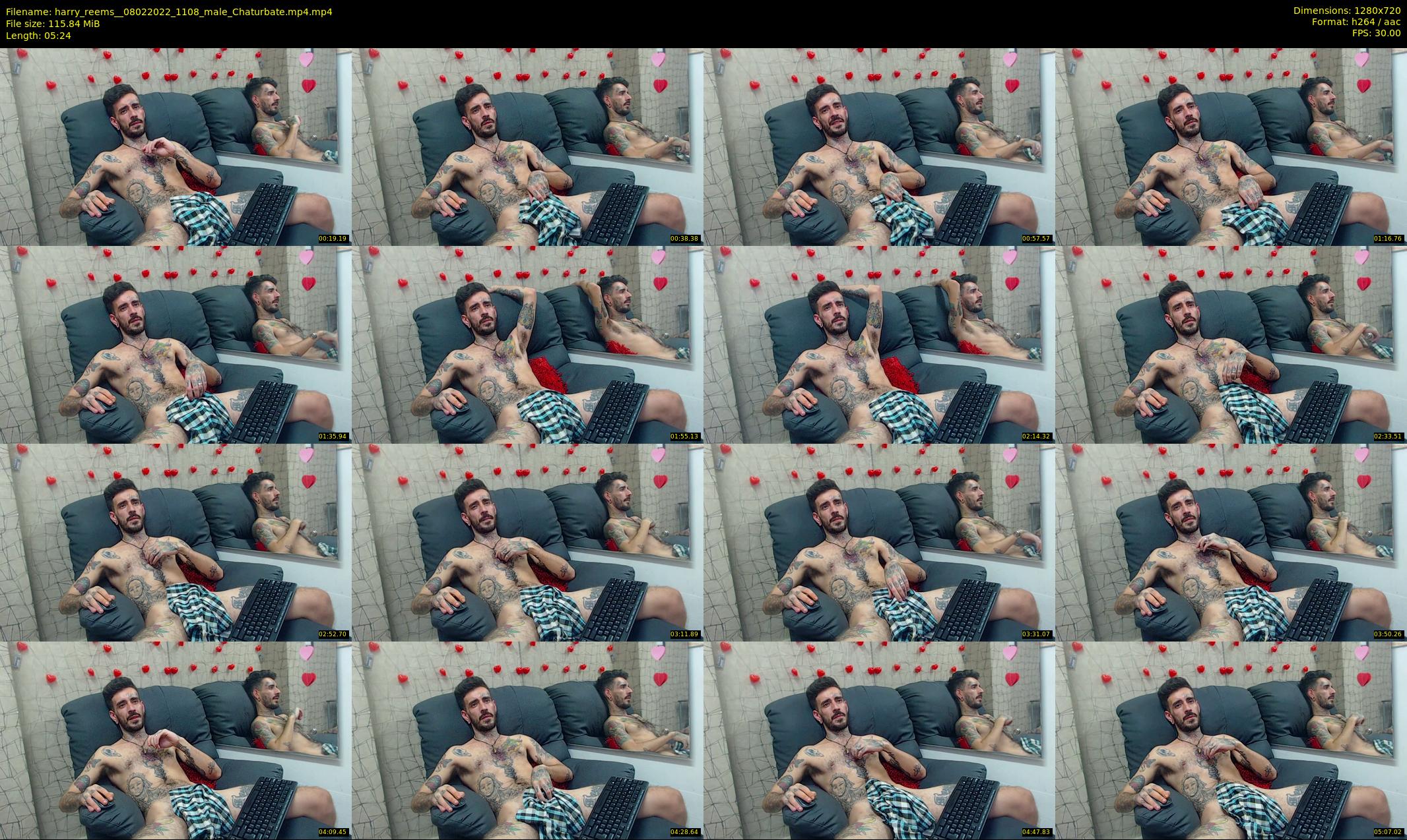 harry_reems_ — 6 minute Chaturbate male cam show recording, 720p, Feb 8, 2022
