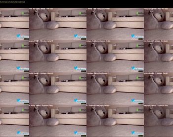 hollyextra — 4 minute Chaturbate female cam show recording, 1080p, Feb 8, 2022