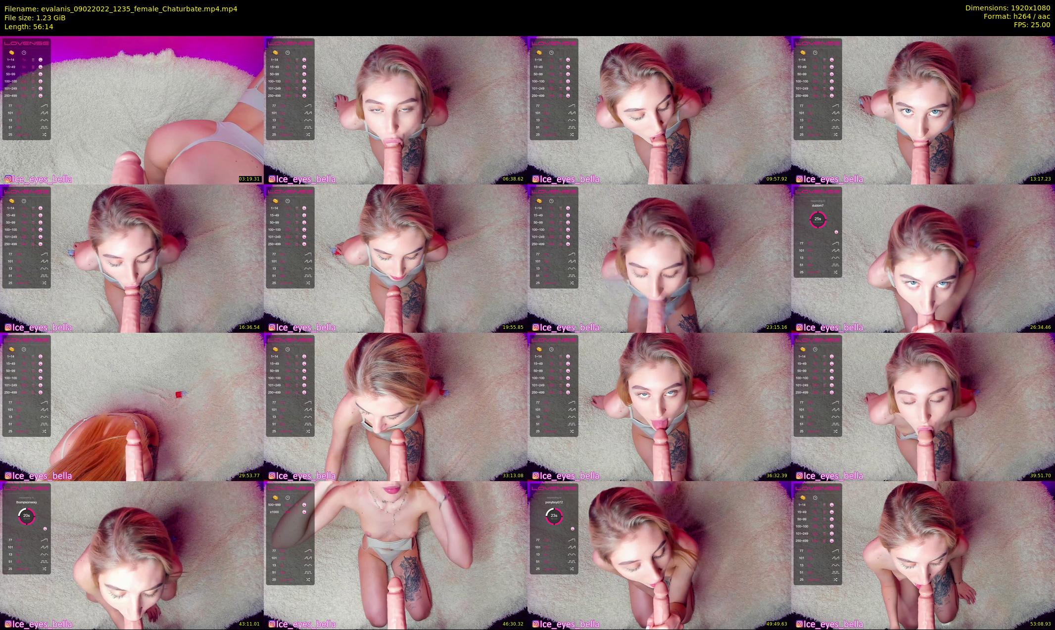 evalanis — 57 minute Chaturbate couple cam show recording, 1080p, Feb 9, 2022