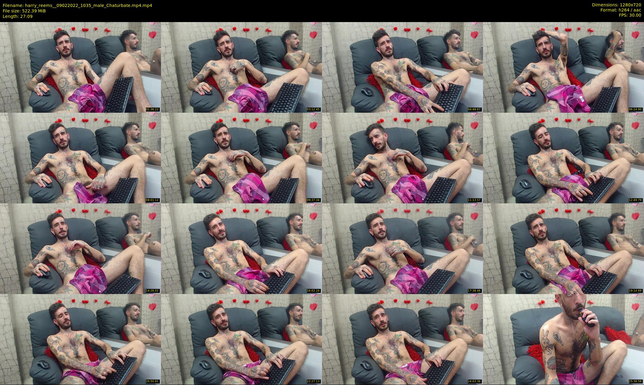 harry_reems_ — 28 minute Chaturbate male cam show recording, 720p, Feb 9, 2022