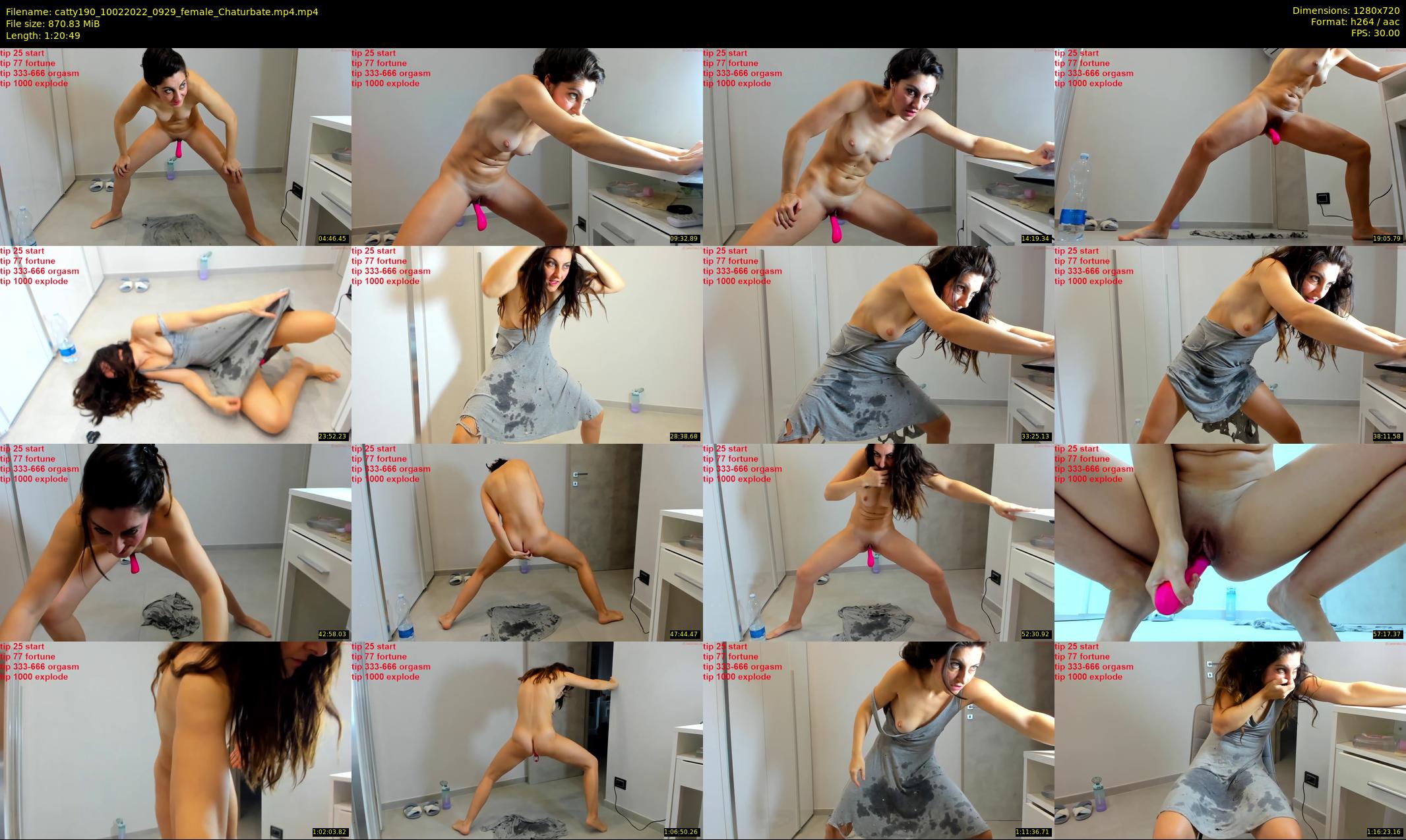 catty190 — 81 minute Chaturbate female cam show recording, 720p, Feb 10, 2022