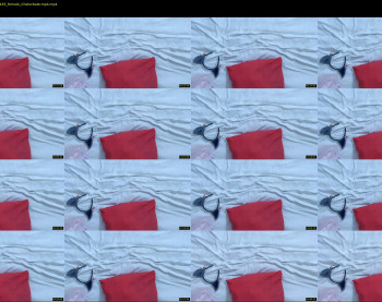 superbdolls — 38 minute Chaturbate couple cam show recording, 720p, Feb 10, 2022