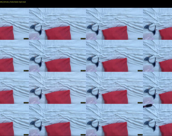 superbdolls — 38 minute Chaturbate couple cam show recording, 720p, Feb 10, 2022