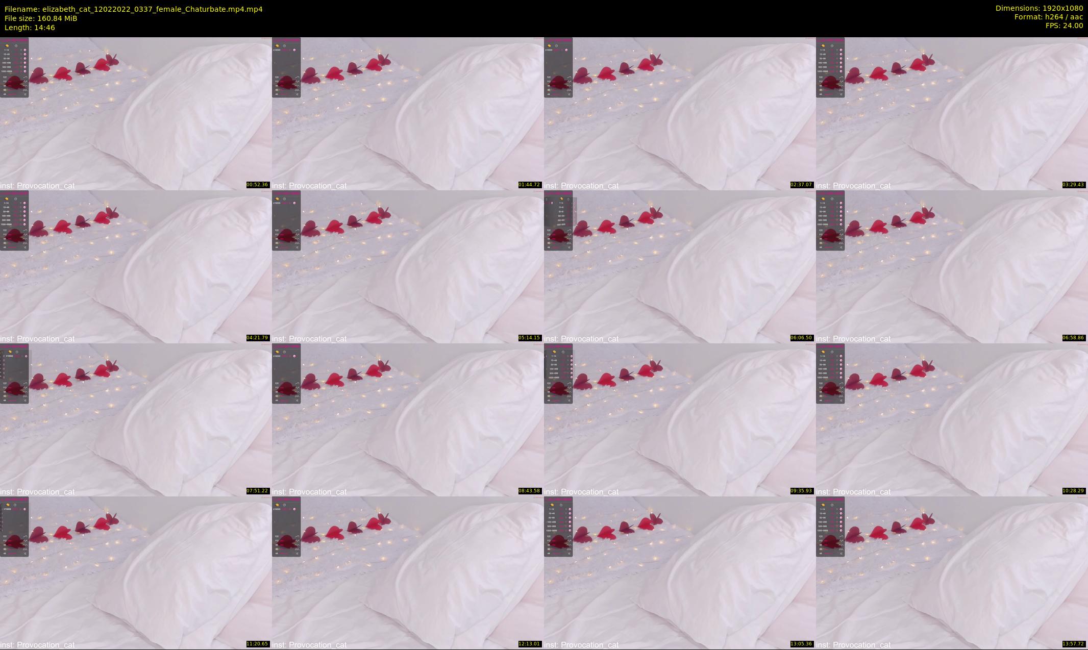 elizabeth_cat — 15 minute Chaturbate female cam show recording, 1080p, Feb 12, 2022