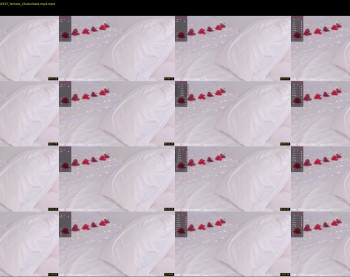 elizabeth_cat — 15 minute Chaturbate female cam show recording, 1080p, Feb 12, 2022