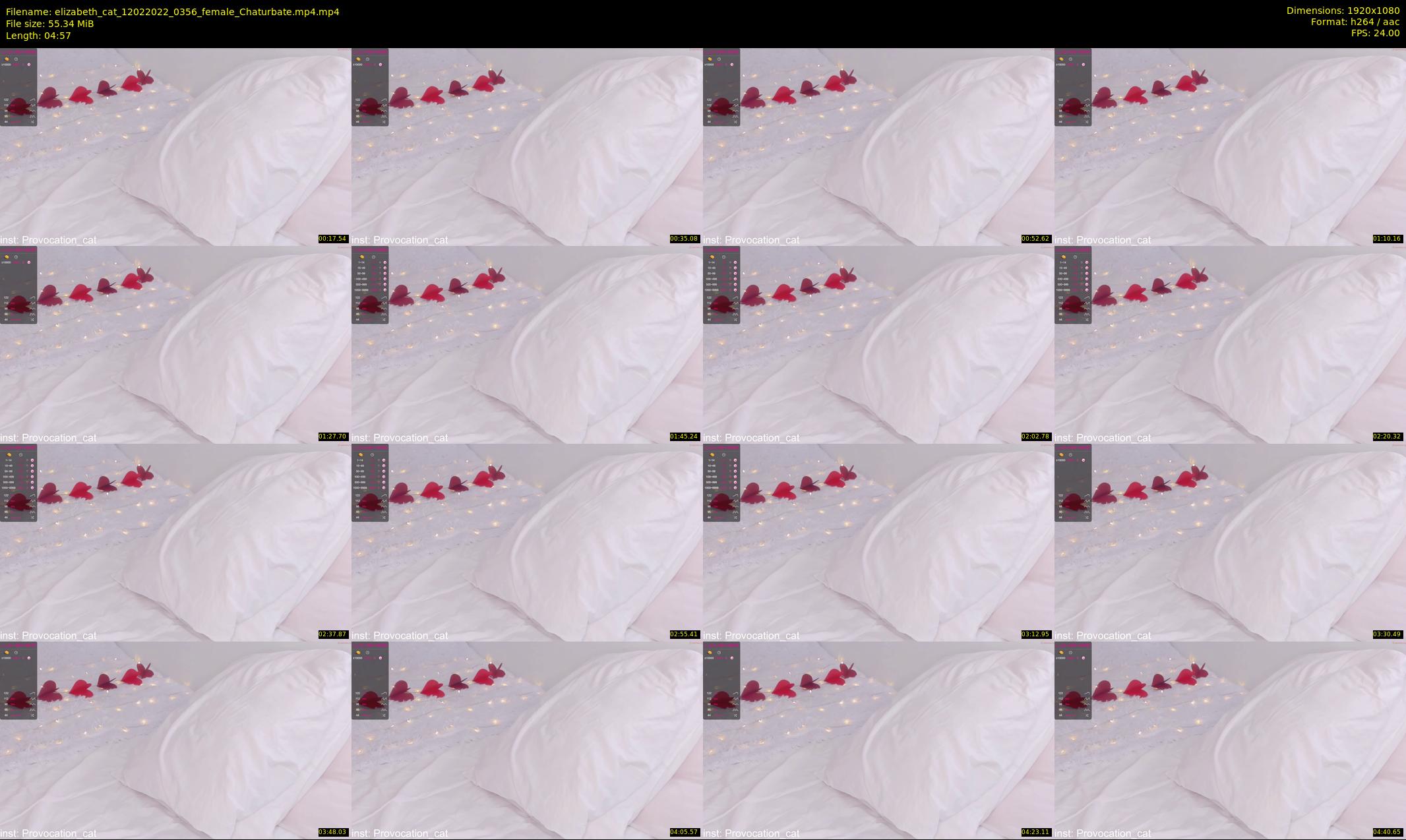 elizabeth_cat — 5 minute Chaturbate female cam show recording, 1080p, Feb 12, 2022