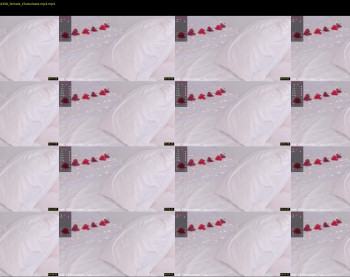elizabeth_cat — 5 minute Chaturbate female cam show recording, 1080p, Feb 12, 2022