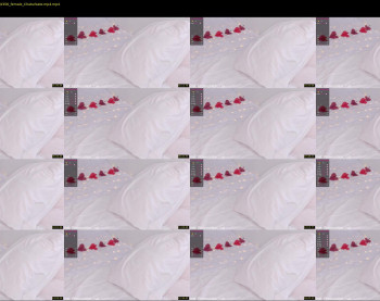 elizabeth_cat — 19 minute Chaturbate female cam show recording, 1080p, Feb 12, 2022