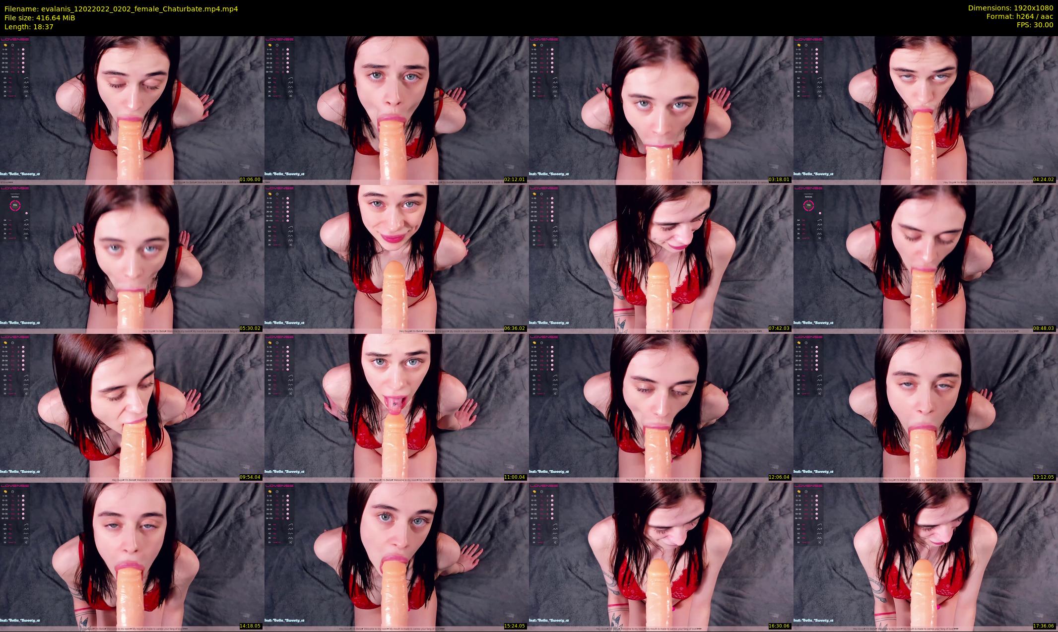 evalanis — 19 minute Chaturbate couple cam show recording, 1080p, Feb 12, 2022