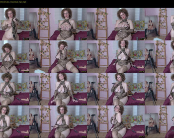 palaustudio — 46 minute Chaturbate female cam show recording, 1080p, Feb 11, 2022