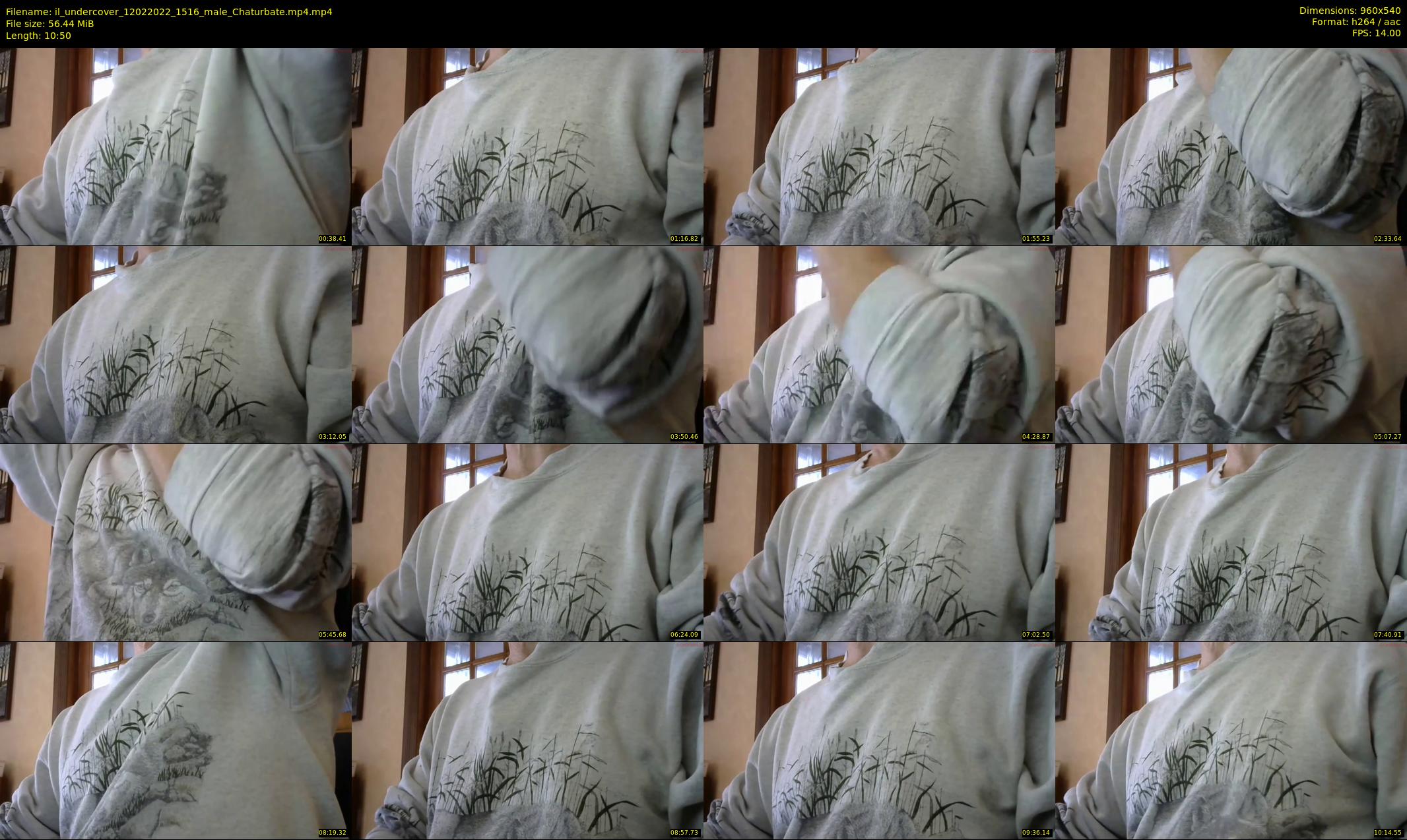 il_undercover — 11 minute Chaturbate male cam show recording, 480p, Feb 12, 2022