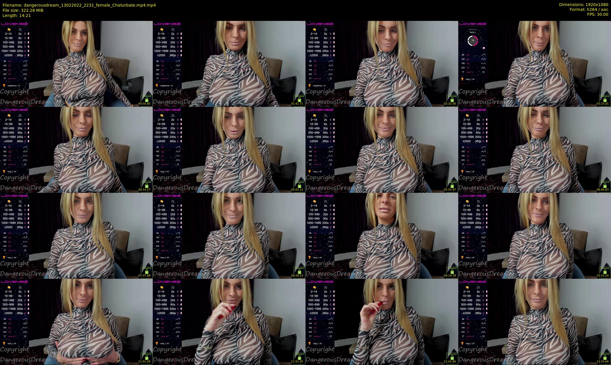dangerousdream — 15 minute Chaturbate couple cam show recording, 1080p, Feb 13, 2022