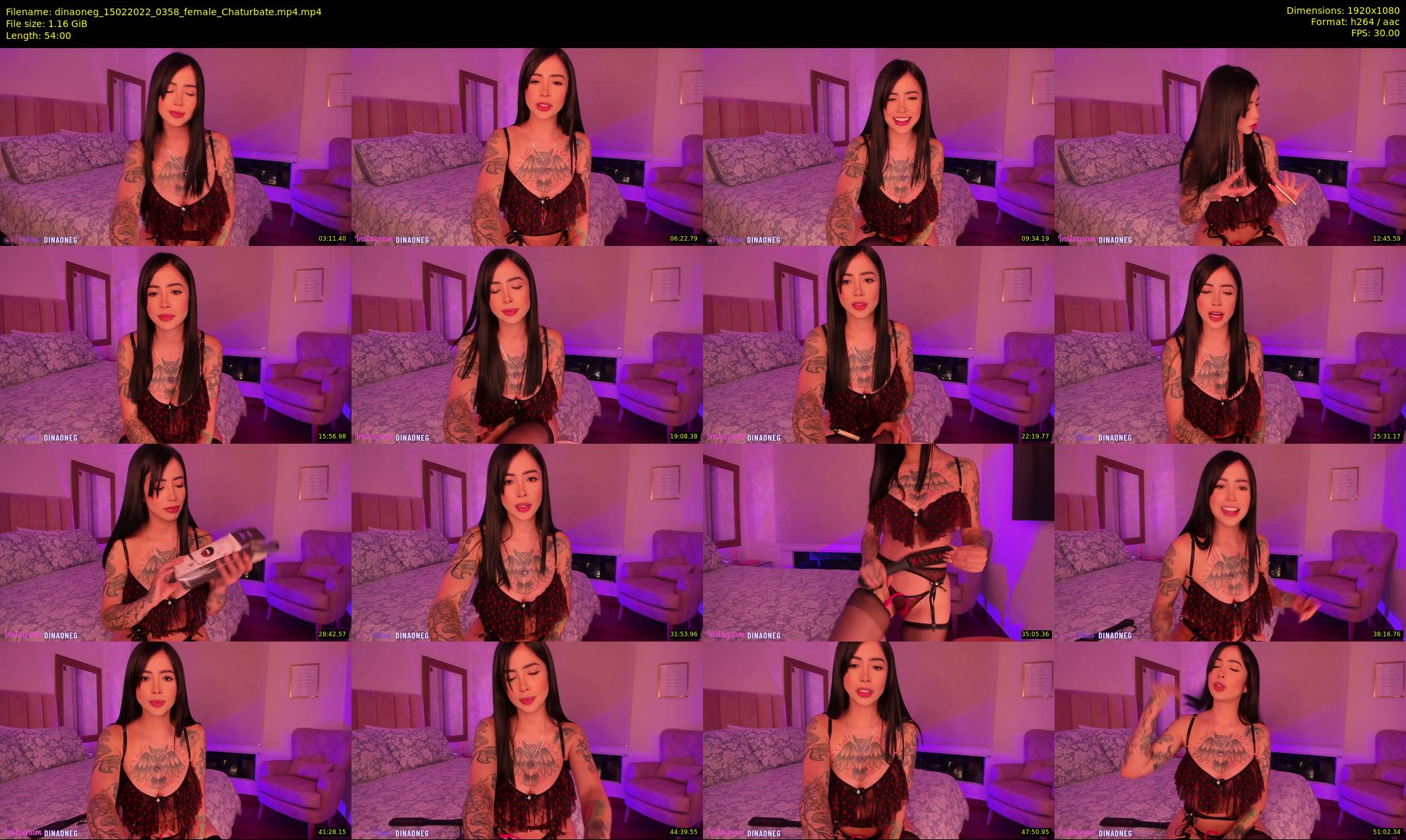 dinaoneg — 54 minute Chaturbate female cam show recording, 1080p, Feb 15, 2022