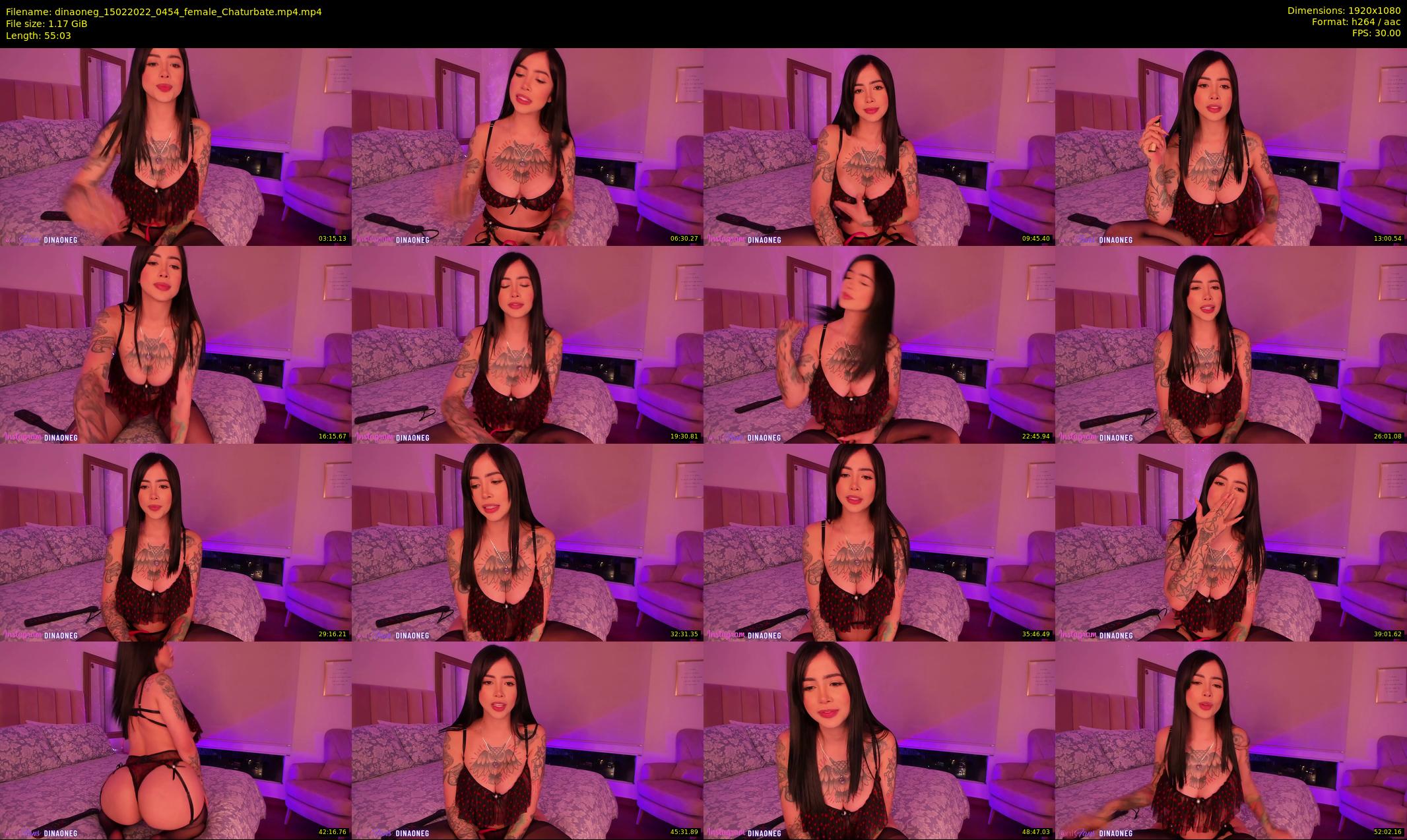 dinaoneg — 56 minute Chaturbate female cam show recording, 1080p, Feb 15, 2022