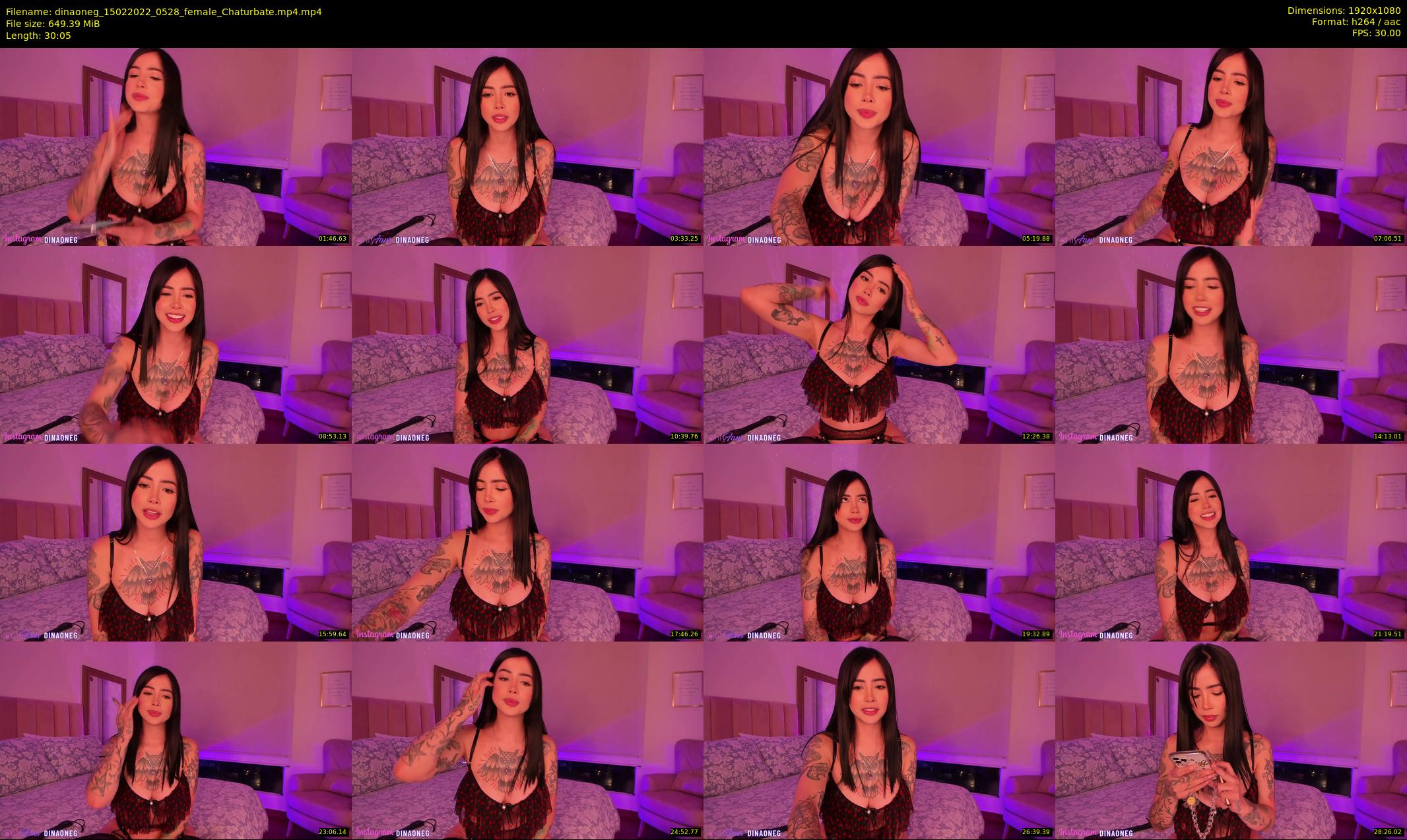 dinaoneg — 31 minute Chaturbate female cam show recording, 1080p, Feb 15, 2022