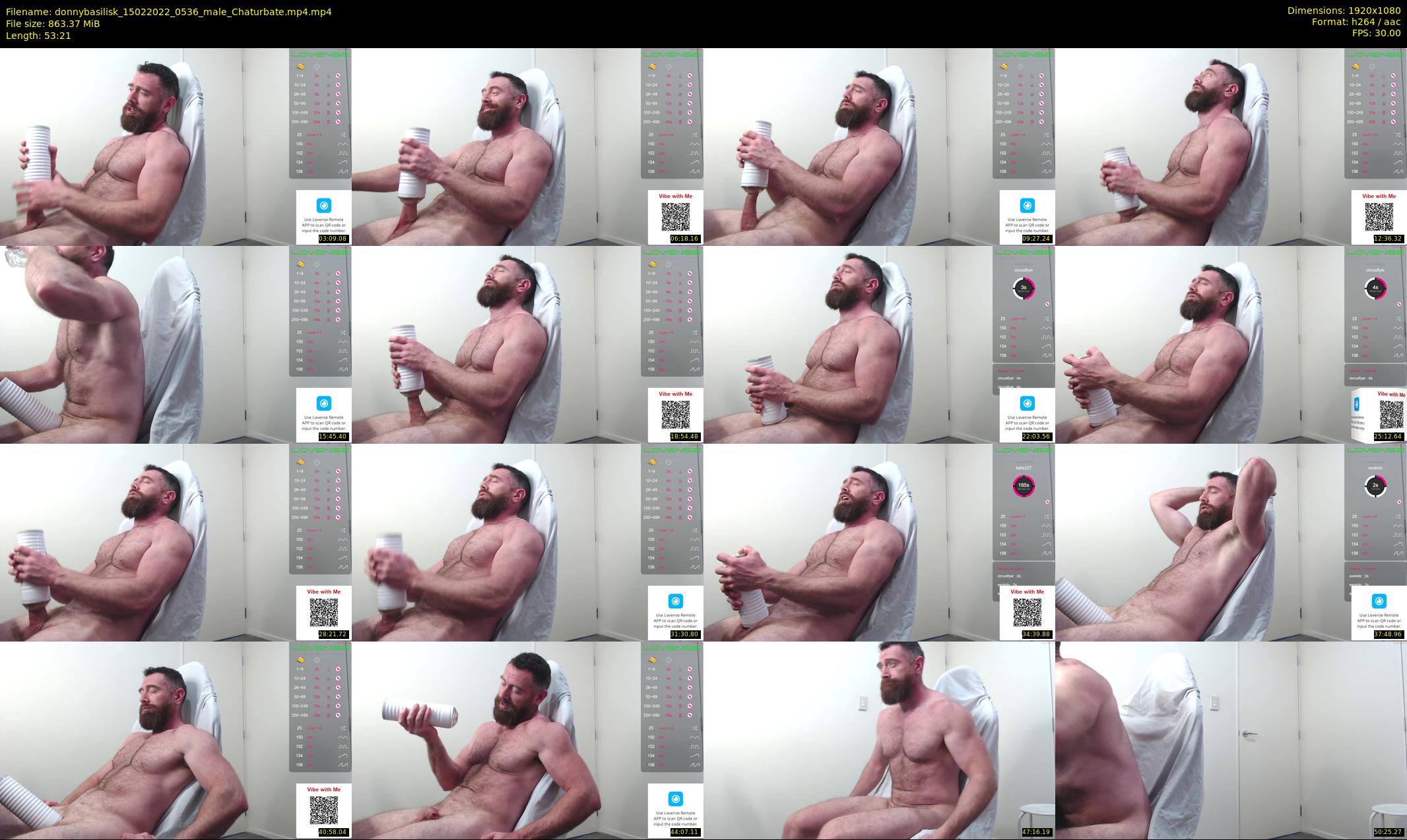 donnybasilisk — 54 minute Chaturbate male cam show recording, 1080p, Feb 15, 2022