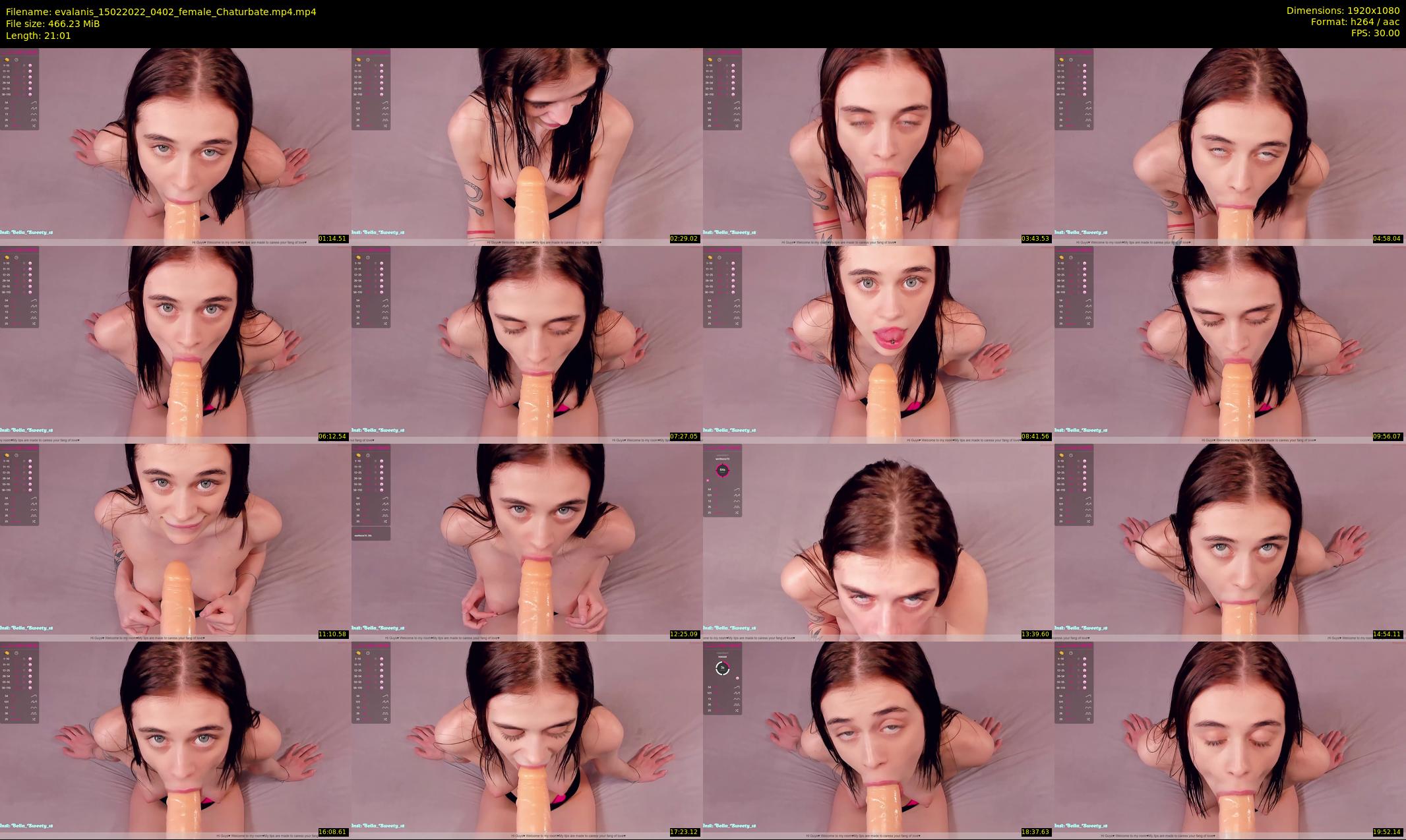 evalanis — 22 minute Chaturbate couple cam show recording, 1080p, Feb 15, 2022