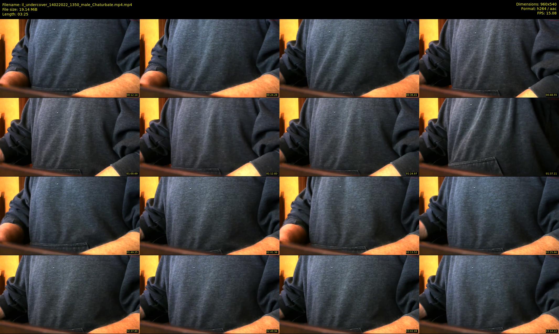 il_undercover — 4 minute Chaturbate male cam show recording, 480p, Feb 14, 2022