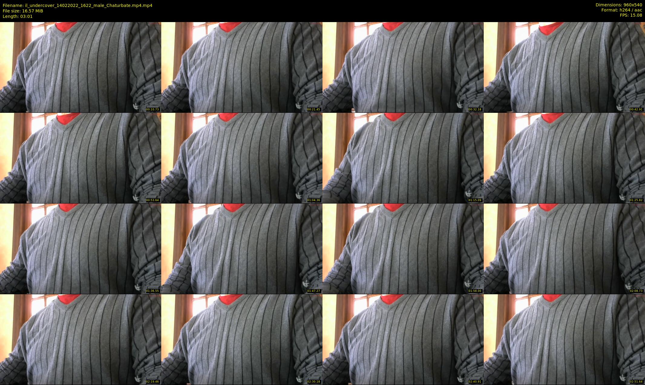 il_undercover — 4 minute Chaturbate male cam show recording, 480p, Feb 14, 2022