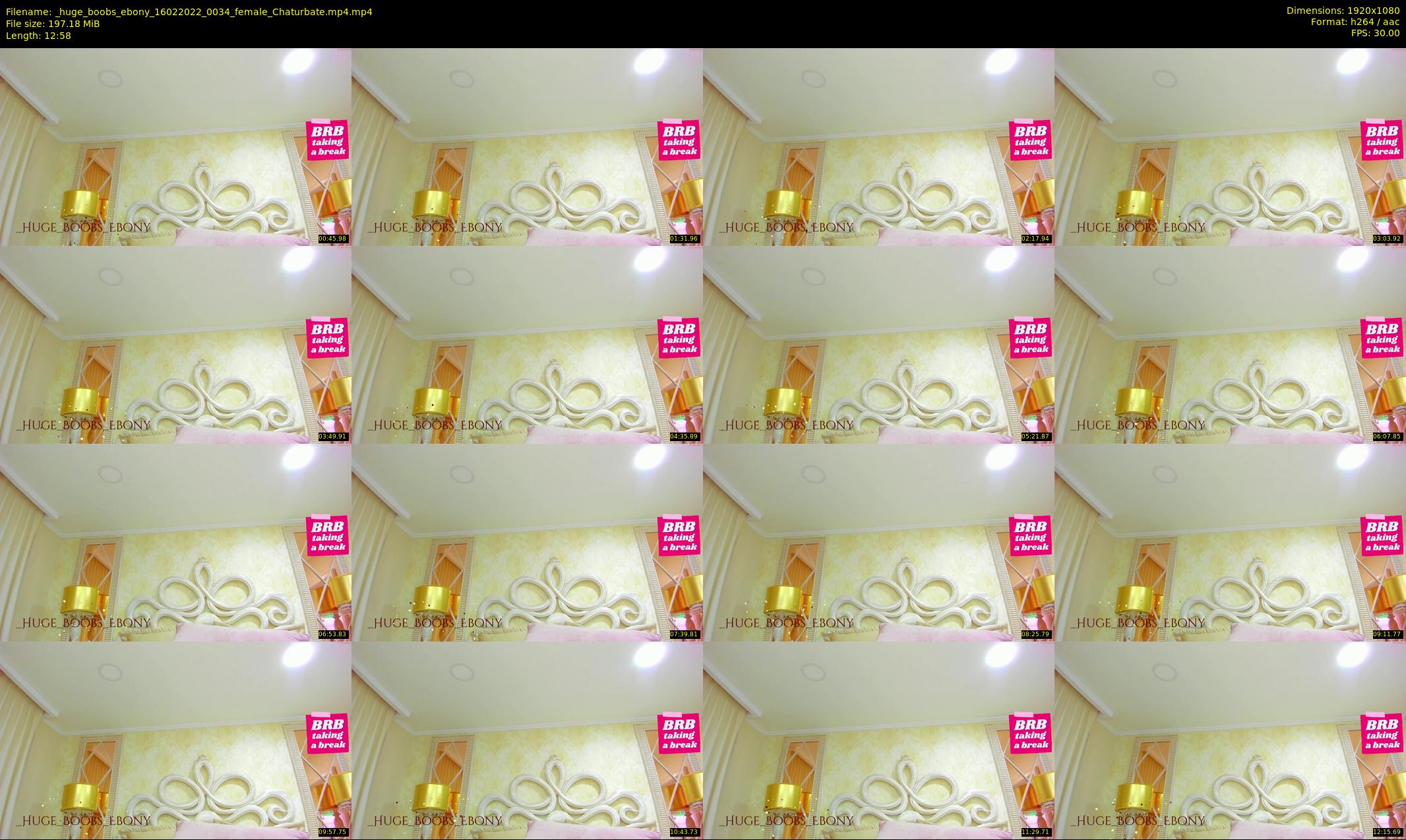 _huge_boobs_ebony — 13 minute Chaturbate female cam show recording, 1080p, Feb 16, 2022