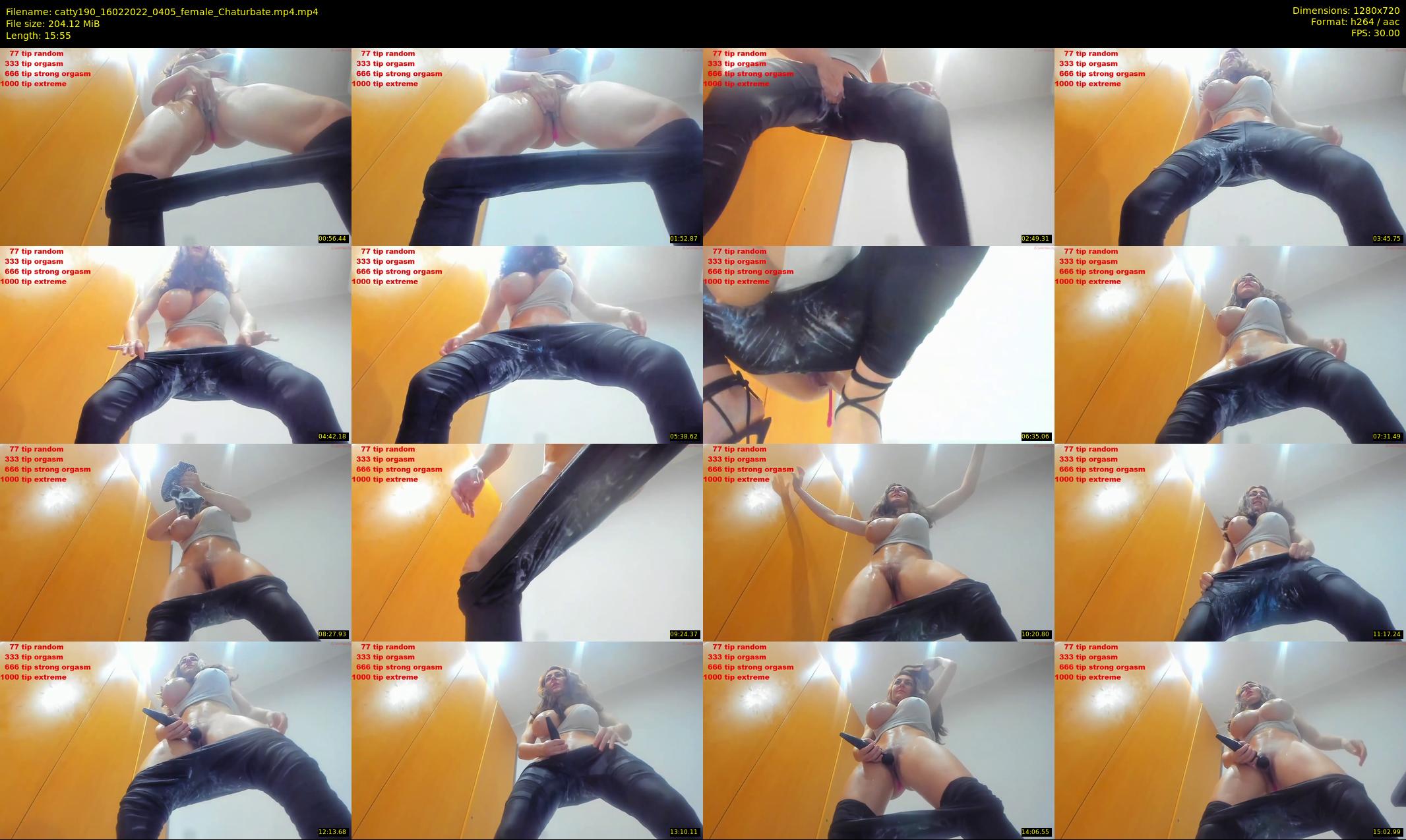 catty190 — 16 minute Chaturbate female cam show recording, 720p, Feb 16, 2022
