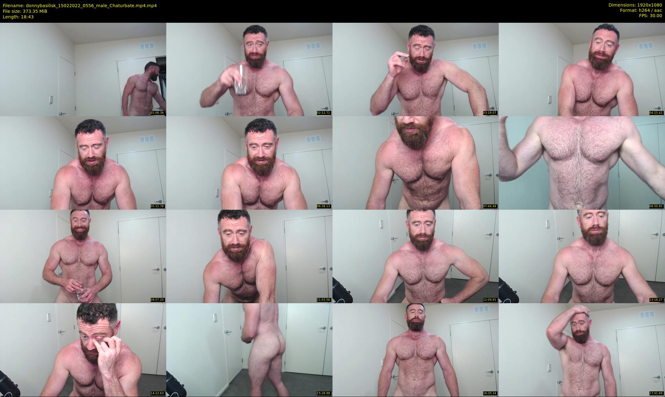 donnybasilisk — 19 minute Chaturbate male cam show recording, 1080p, Feb 15, 2022