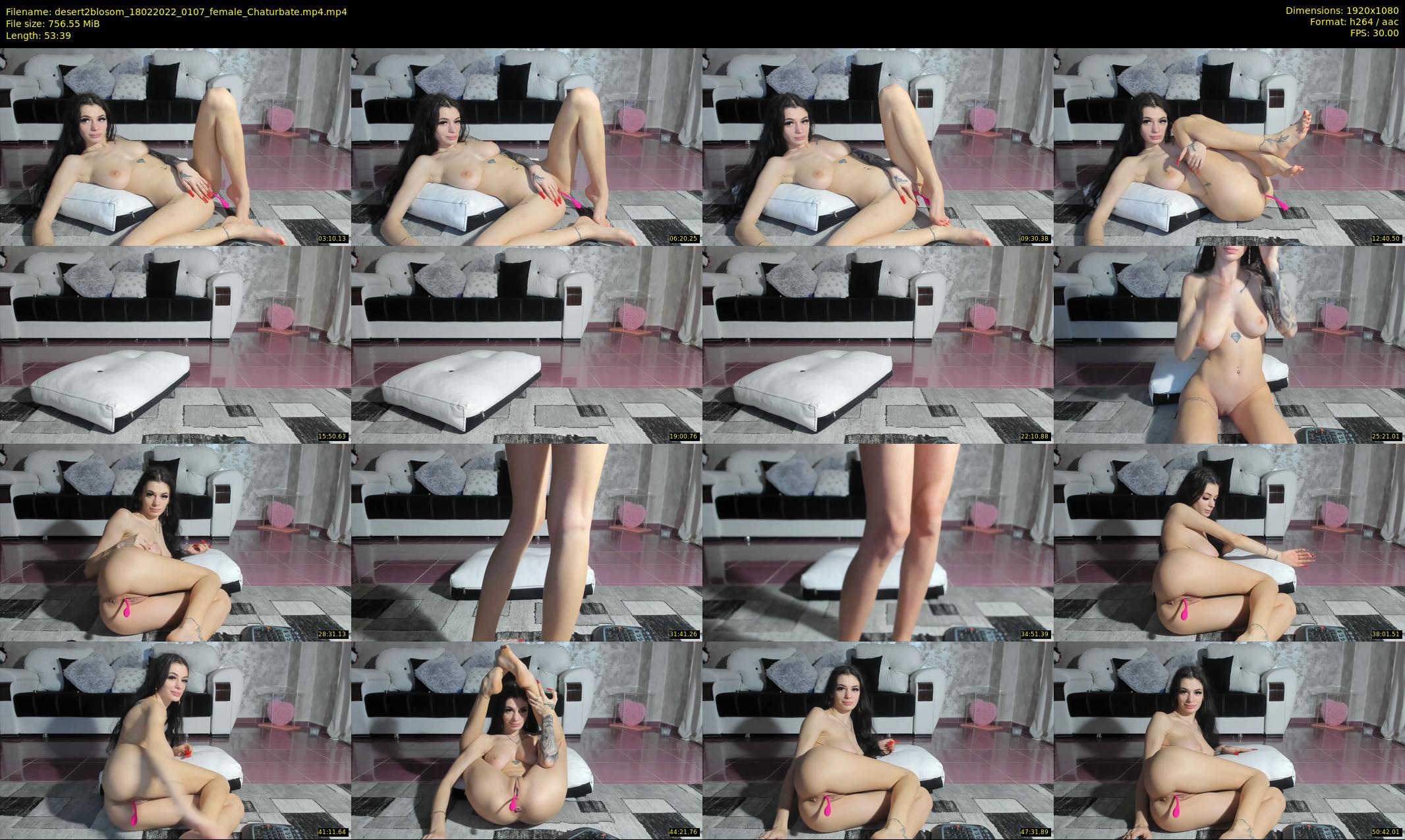 desert2blosom — 54 minute Chaturbate female cam show recording, 1080p, Feb 18, 2022