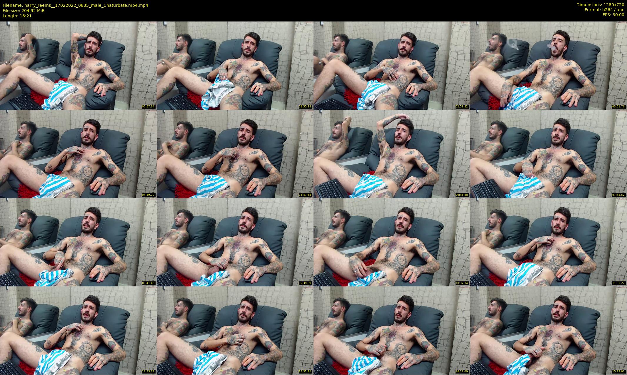 harry_reems_ — 17 minute Chaturbate male cam show recording, 720p, Feb 17, 2022