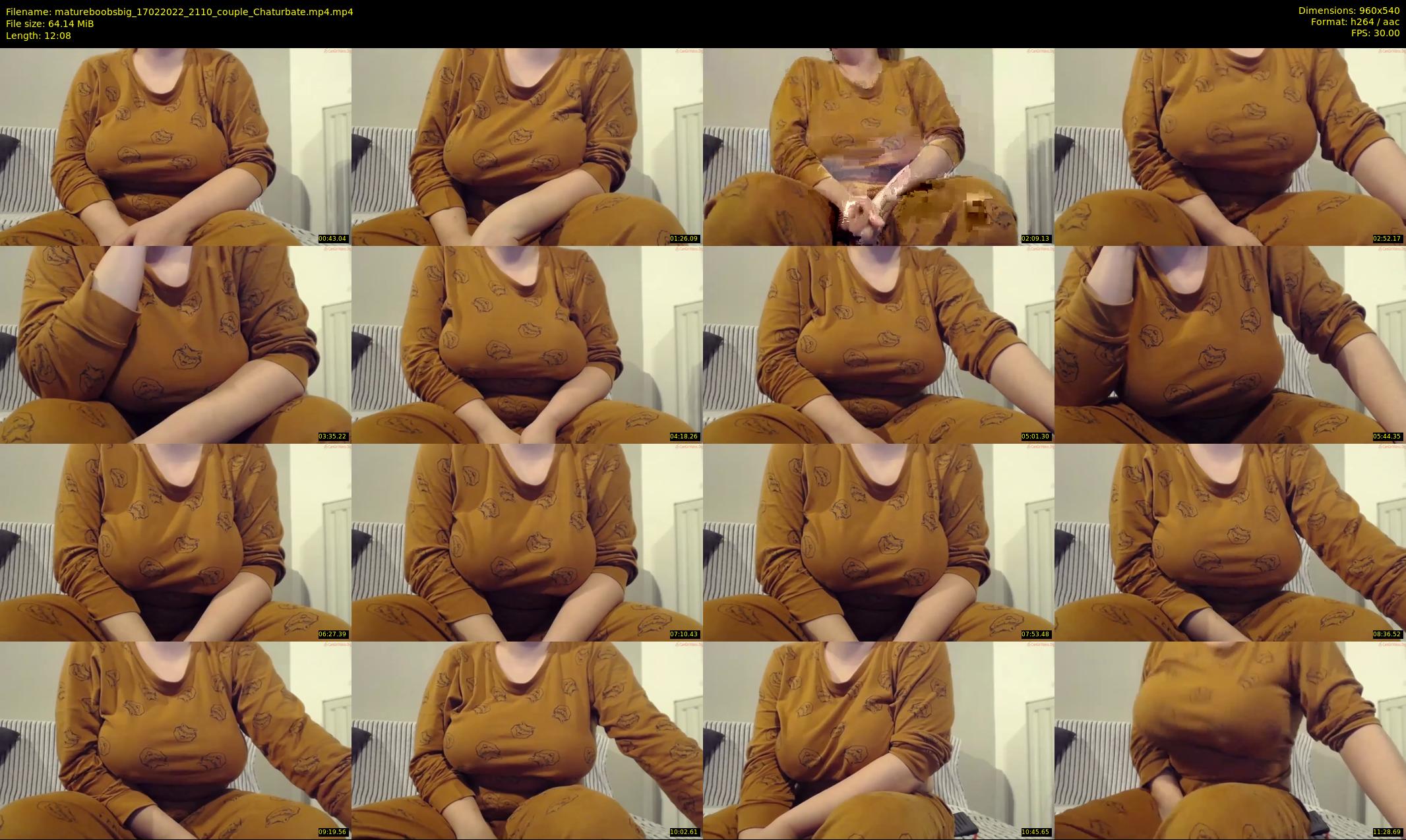 matureboobsbig — 13 minute Chaturbate female cam show recording, 480p, Feb 17, 2022