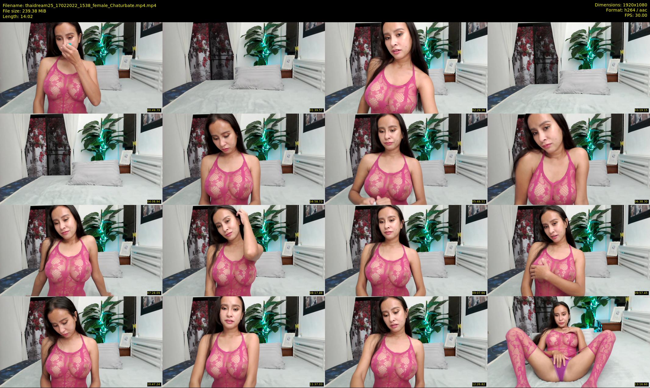 thaidream25 — 15 minute Chaturbate female cam show recording, 1080p, Feb 17, 2022