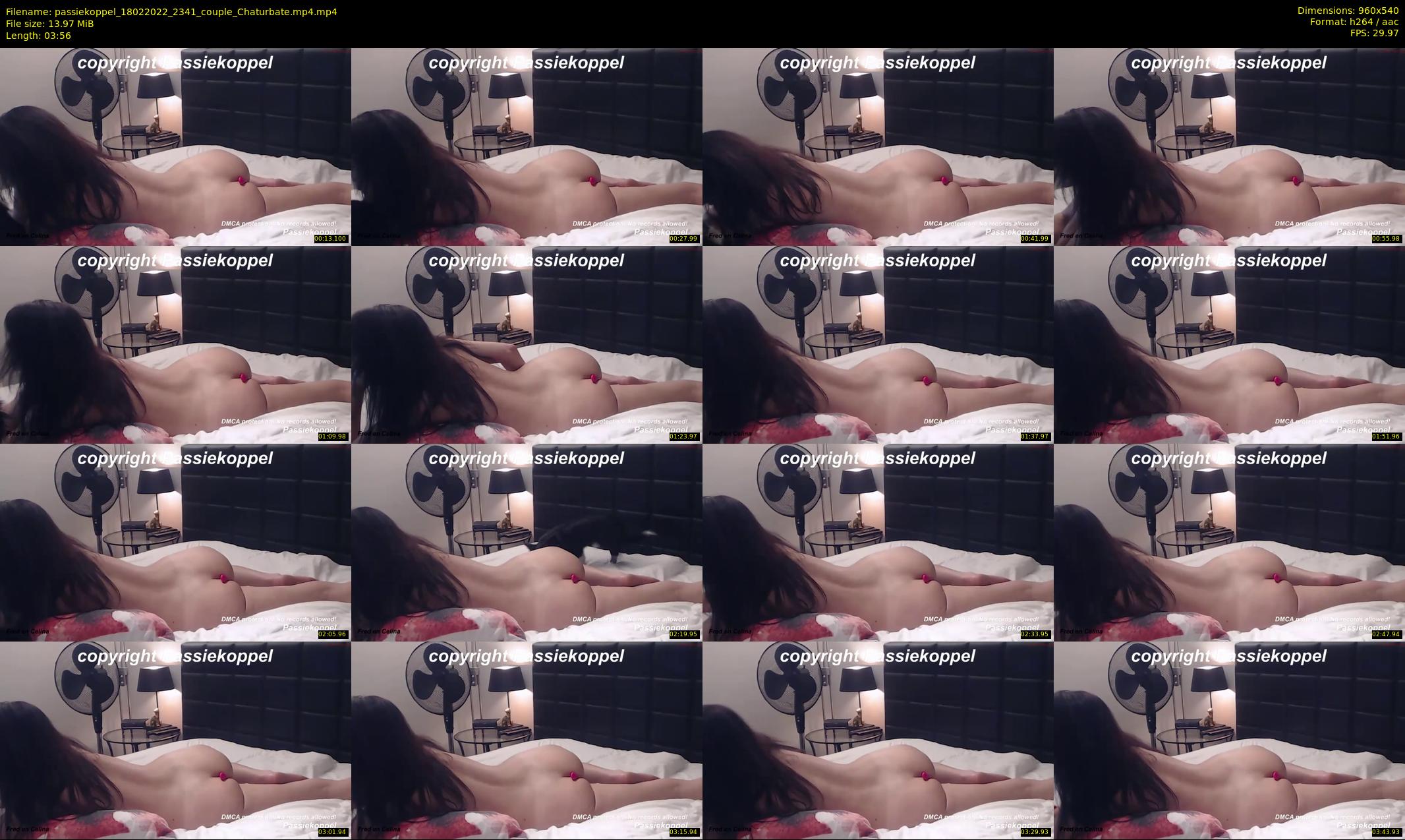 passiekoppel — 4 minute Chaturbate couple cam show recording, 480p, Feb 18, 2022