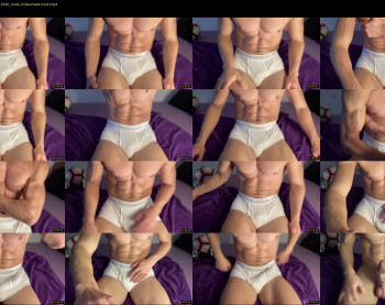 bestdick1991 — 29 minute Chaturbate male cam show recording, 720p, Feb 19, 2022