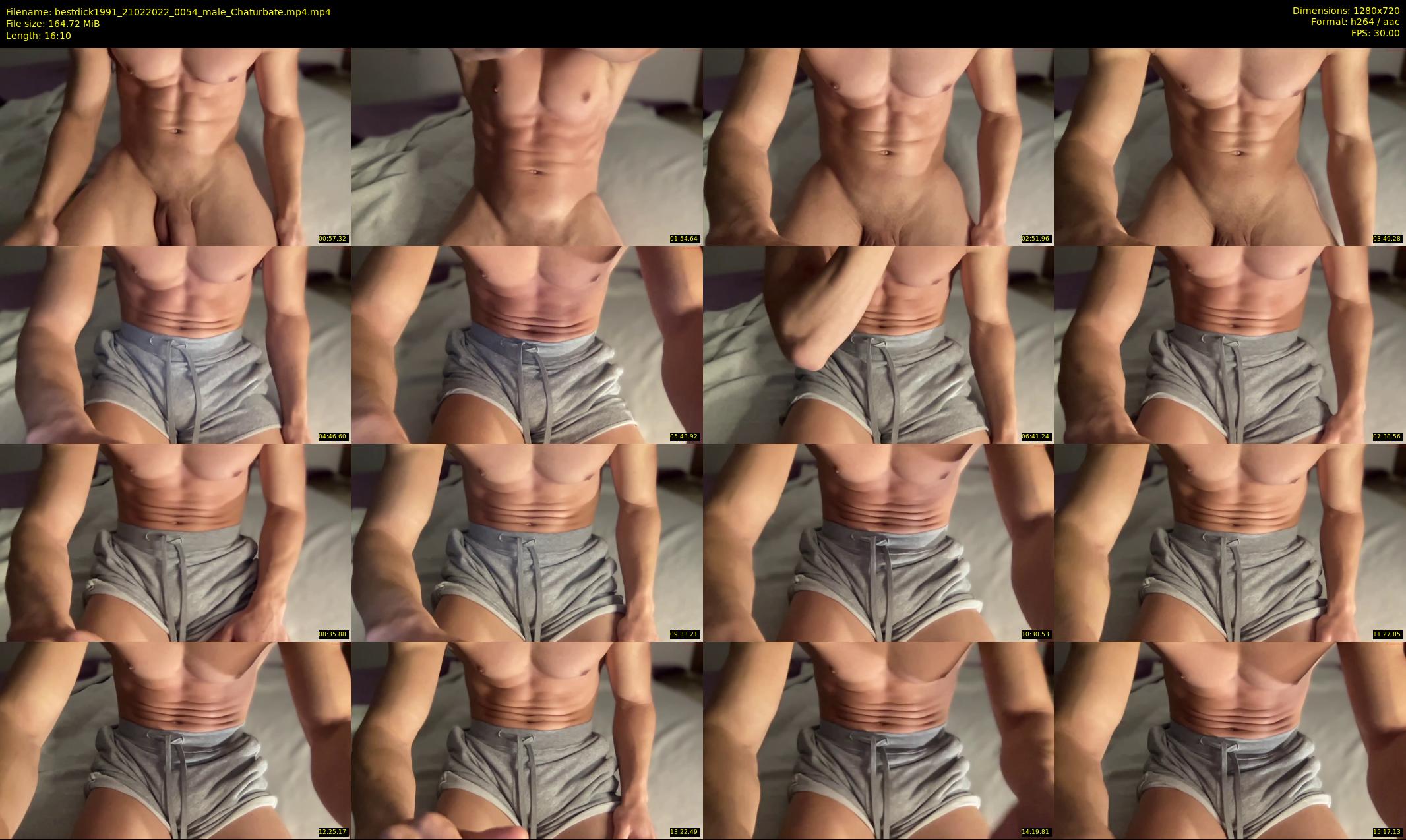 bestdick1991 — 17 minute Chaturbate male cam show recording, 720p, Feb 21, 2022