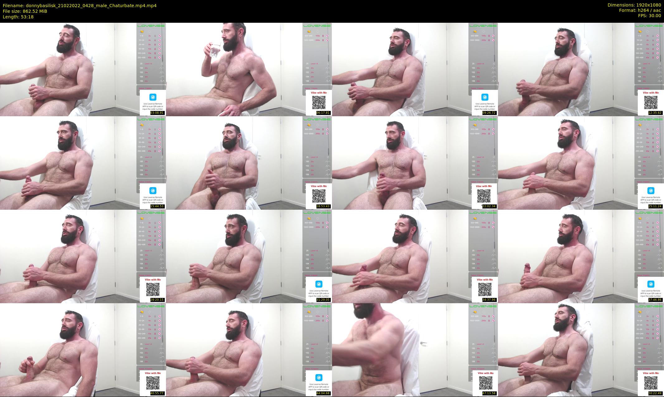donnybasilisk — 54 minute Chaturbate male cam show recording, 1080p, Feb 21, 2022