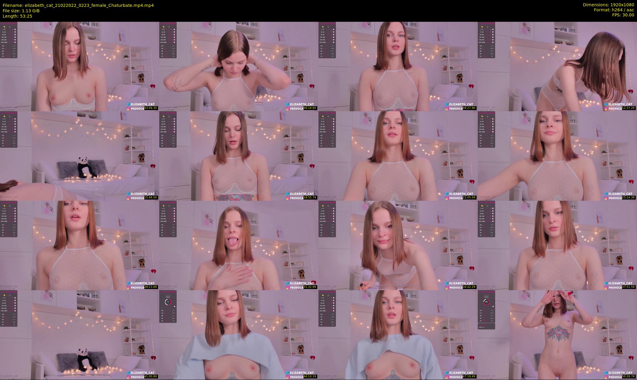 elizabeth_cat — 54 minute Chaturbate female cam show recording, 1080p, Feb 21, 2022