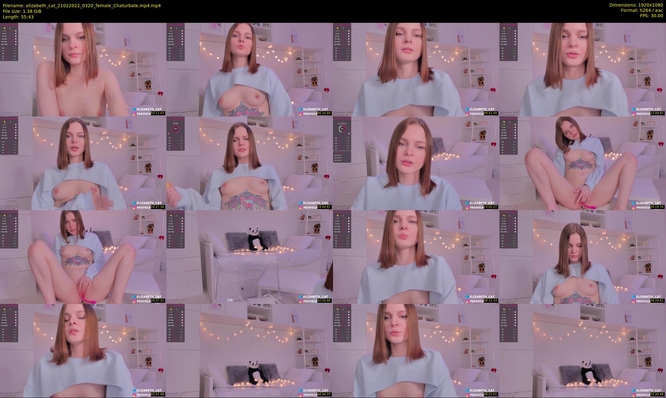 elizabeth_cat — 56 minute Chaturbate female cam show recording, 1080p, Feb 21, 2022