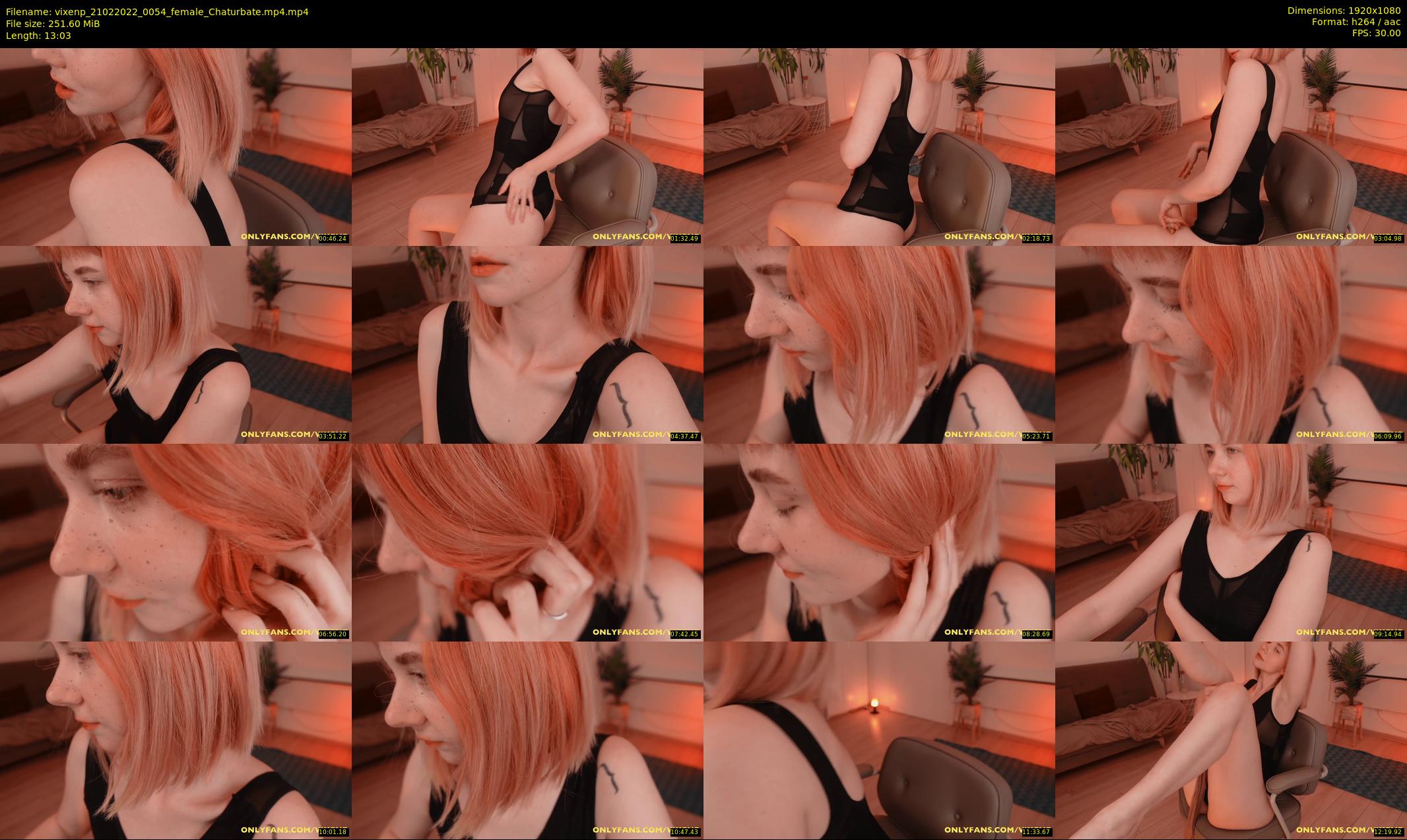 vixenp — 14 minute Chaturbate female cam show recording, 1080p, Feb 21, 2022