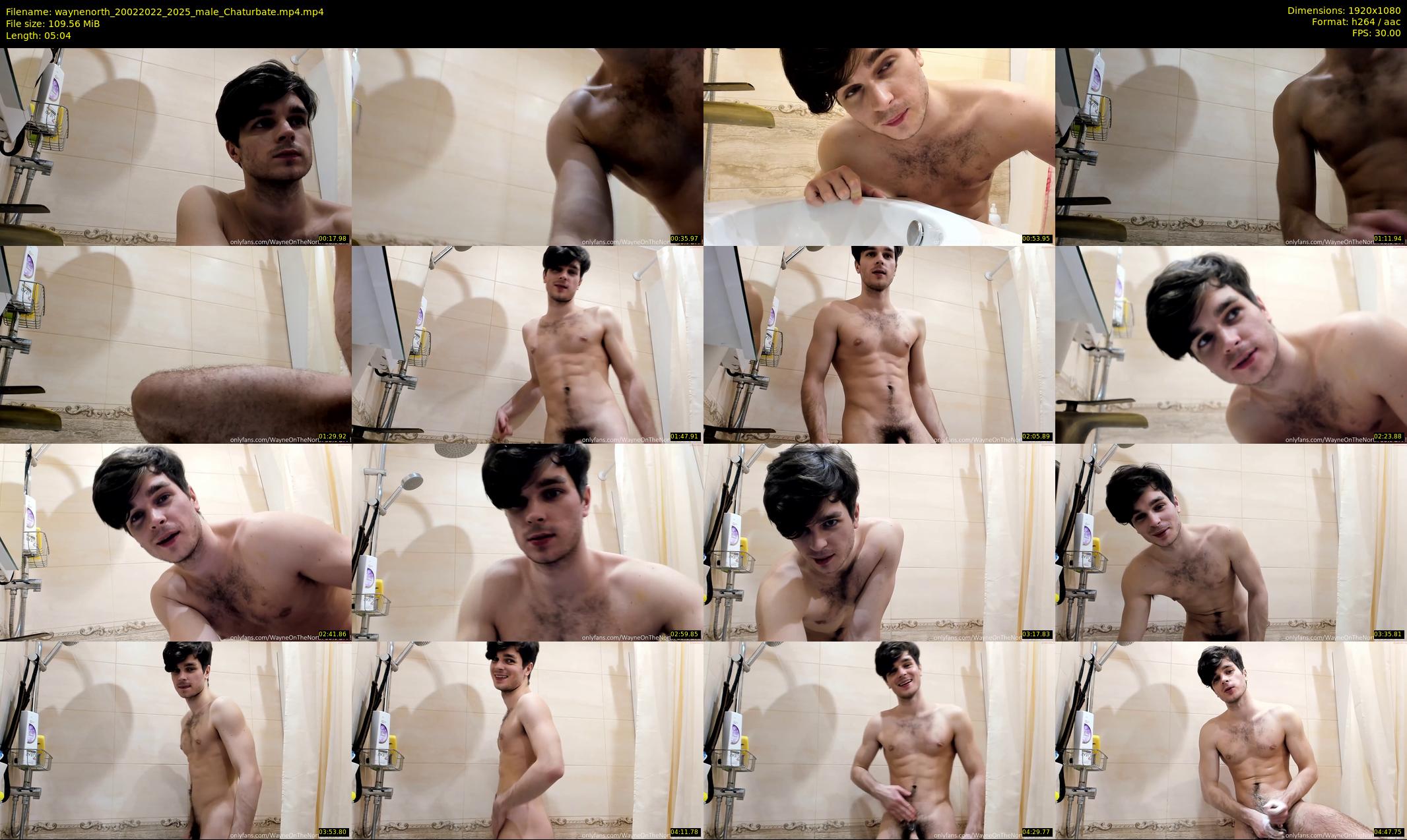 waynenorth — 6 minute Chaturbate male cam show recording, 1080p, Feb 20, 2022