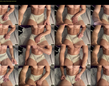 bestdick1991 — 14 minute Chaturbate male cam show recording, 720p, Feb 22, 2022