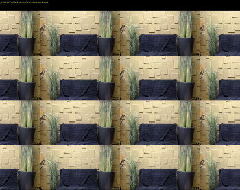 antoniovalentinidiamond — 8 minute Chaturbate male cam show recording, 720p, Feb 23, 2022