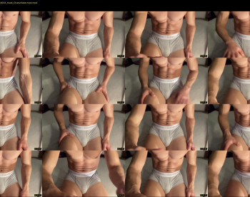 bestdick1991 — 11 minute Chaturbate male cam show recording, 720p, Feb 23, 2022