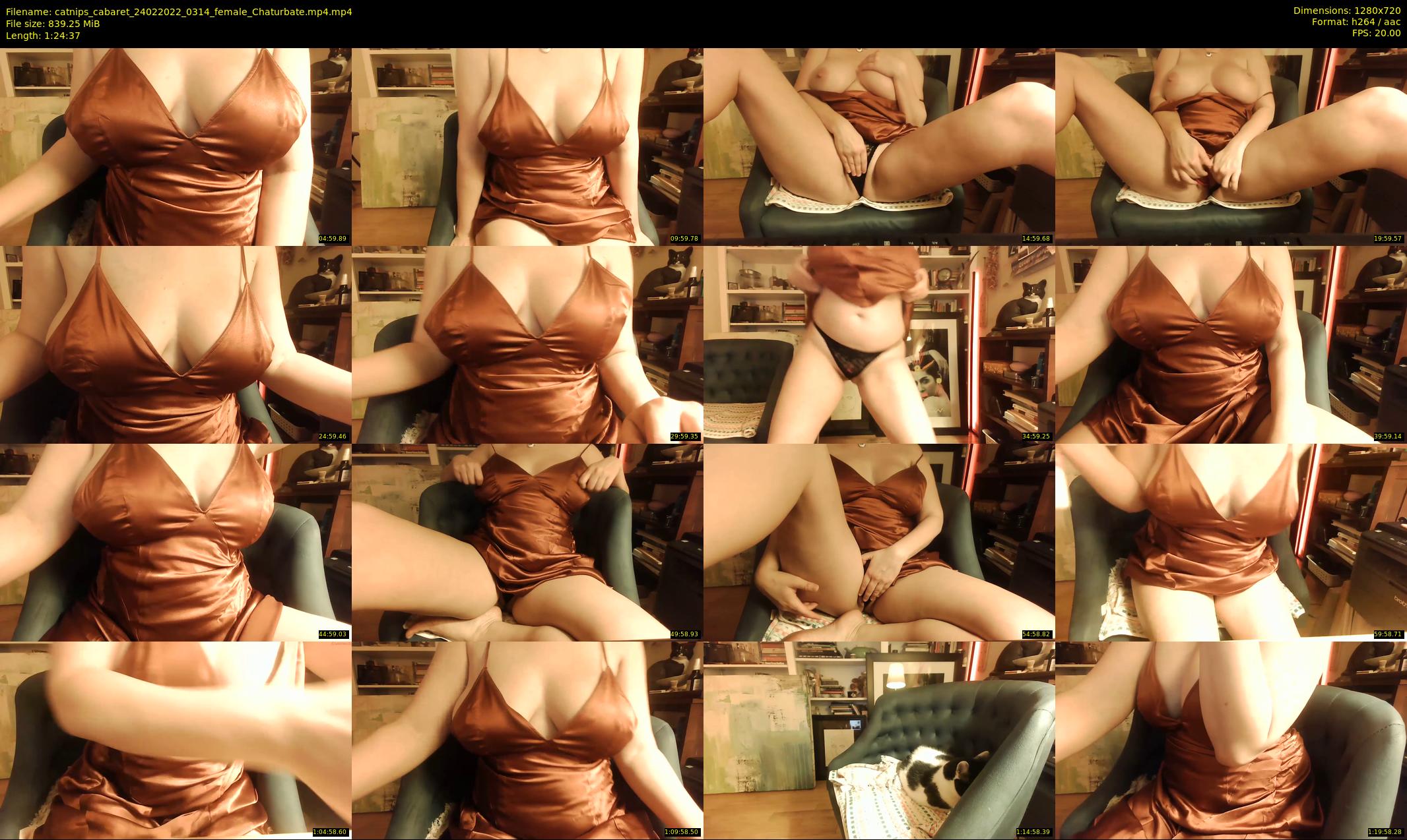 catnips_cabaret — 85 minute Chaturbate female cam show recording, 720p, Feb 24, 2022