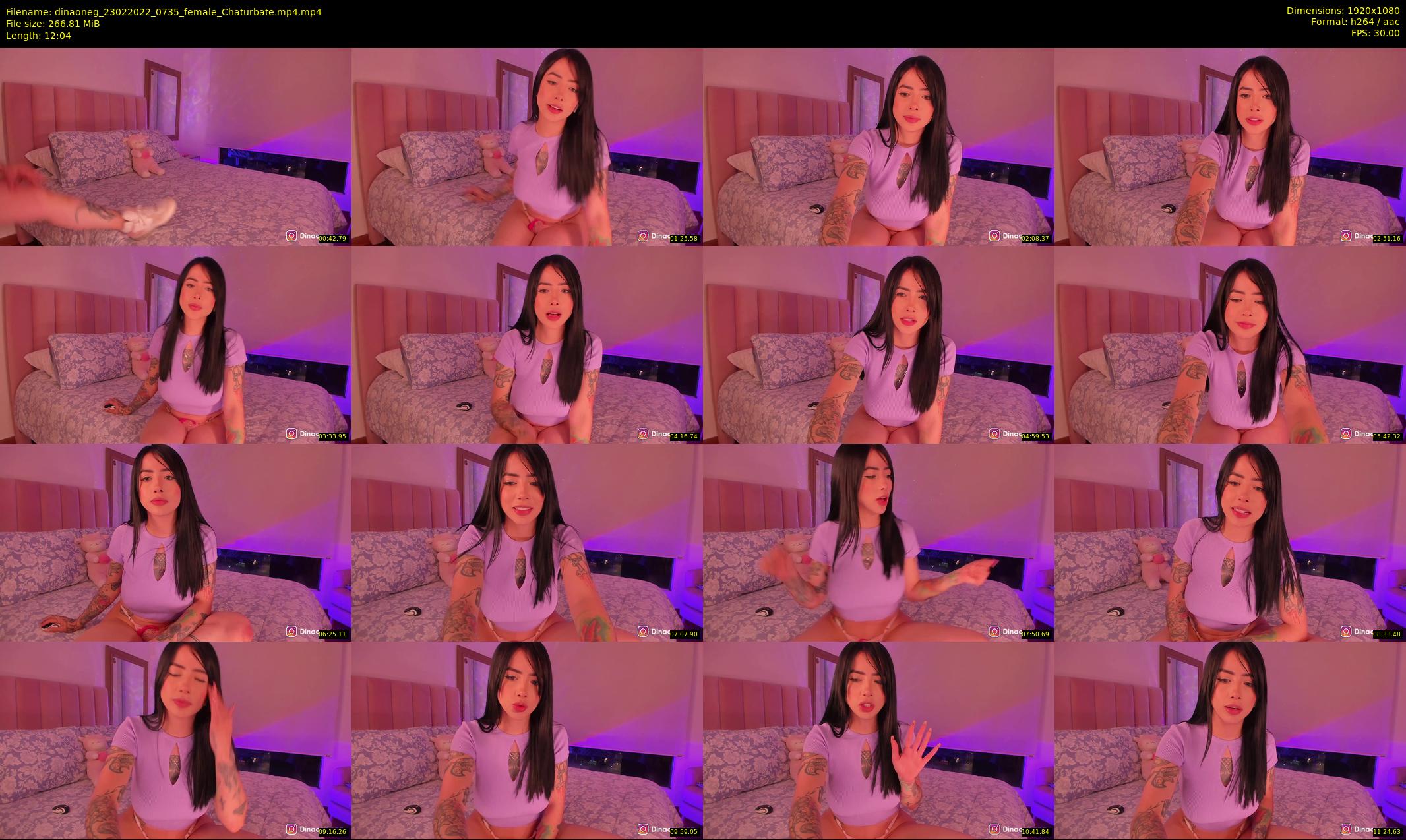 dinaoneg — 13 minute Chaturbate female cam show recording, 1080p, Feb 23, 2022