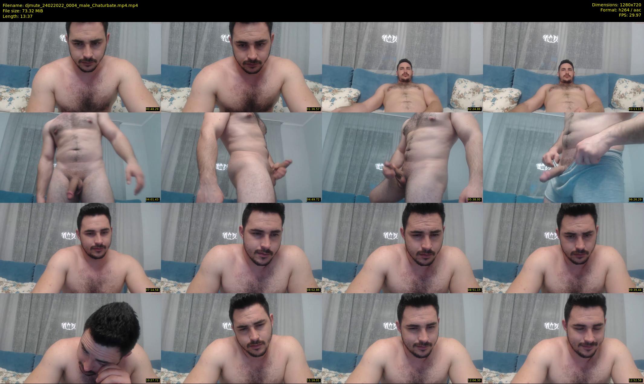 djmute — 14 minute Chaturbate male cam show recording, 720p, Feb 24, 2022